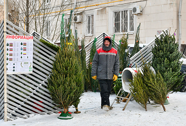 В каждом округе Москвы с 20 декабря 2022 года заработали елочные базары
